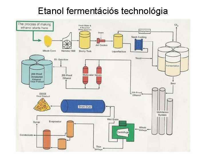 Etanol fermentációs technológia 