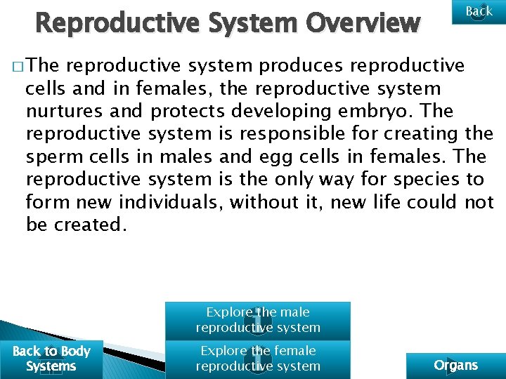 Reproductive System Overview Back � The reproductive system produces reproductive cells and in females,