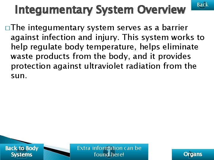 Integumentary System Overview Back � The integumentary system serves as a barrier against infection