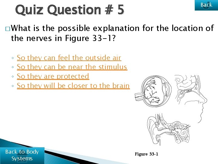 Quiz Question # 5 � What Back is the possible explanation for the location