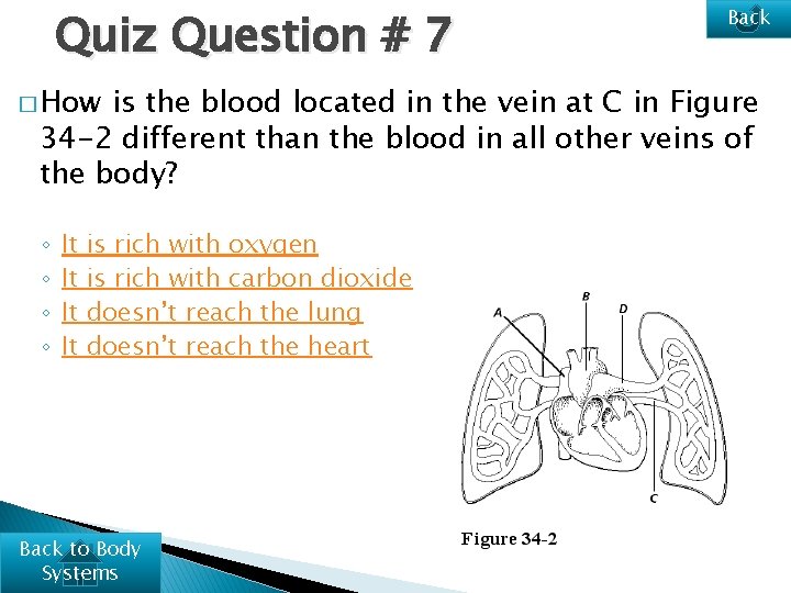 Quiz Question # 7 � How Back is the blood located in the vein