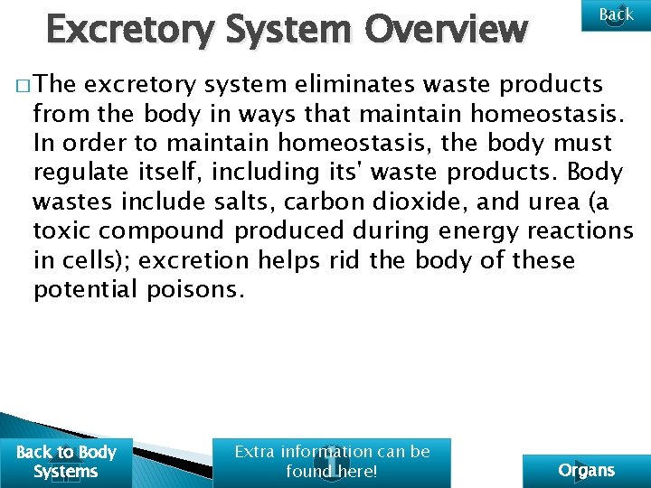 Excretory System Overview Back � The excretory system eliminates waste products from the body