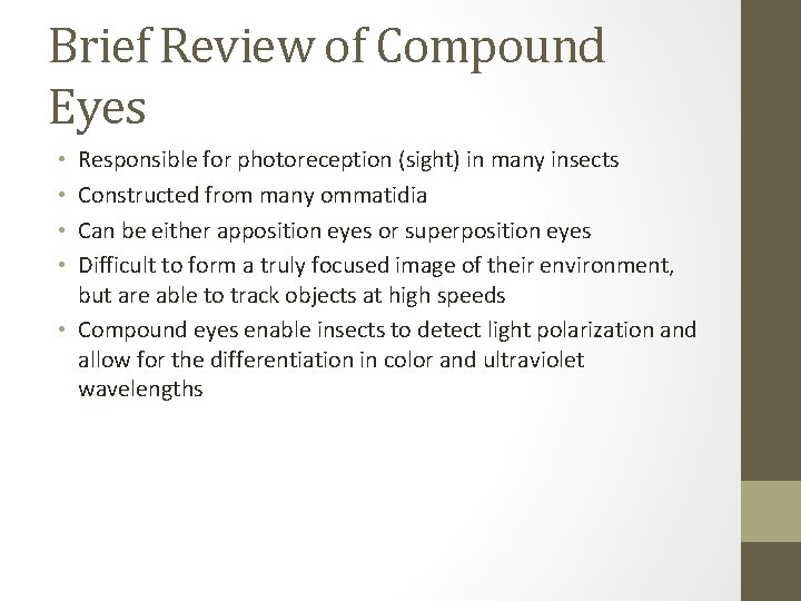 Brief Review of Compound Eyes Responsible for photoreception (sight) in many insects Constructed from