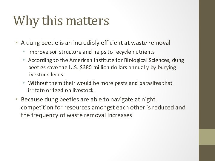 Why this matters • A dung beetle is an incredibly efficient at waste removal