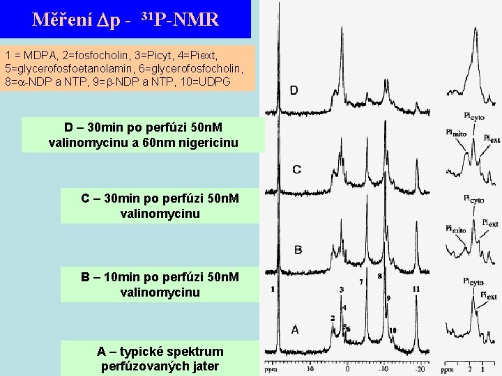 Měření p - 31 P-NMR 1 = MDPA, 2=fosfocholin, 3=Picyt, 4=Piext, 5=glycerofosfoetanolamin, 6=glycerofosfocholin, 8=