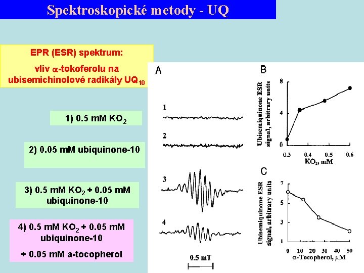 Spektroskopické metody - UQ EPR (ESR) spektrum: vliv -tokoferolu na ubisemichinolové radikály UQ 10