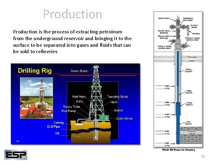 Production is the process of extracting petroleum from the underground reservoir and bringing it