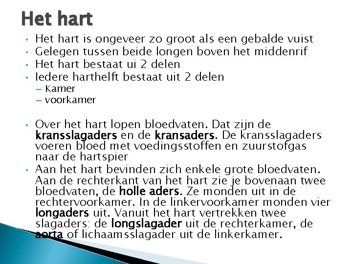 Het hart • • • Het hart is ongeveer zo groot als een gebalde