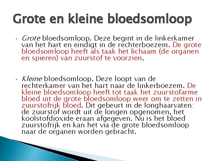 Grote en kleine bloedsomloop • Grote bloedsomloop. Deze begint in de linkerkamer • Kleine