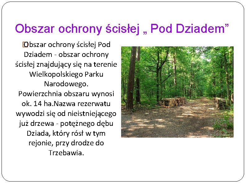 Obszar ochrony ścisłej „ Pod Dziadem” � Obszar ochrony ścisłej Pod Dziadem - obszar