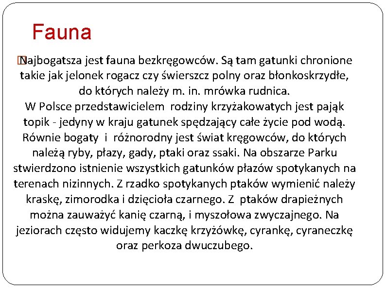 Fauna � Najbogatsza jest fauna bezkręgowców. Są tam gatunki chronione takie jak jelonek rogacz