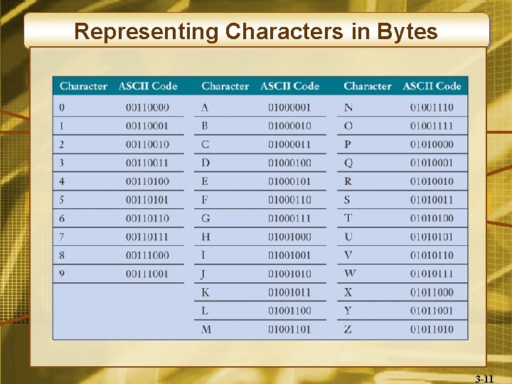 Representing Characters in Bytes 3 -11 