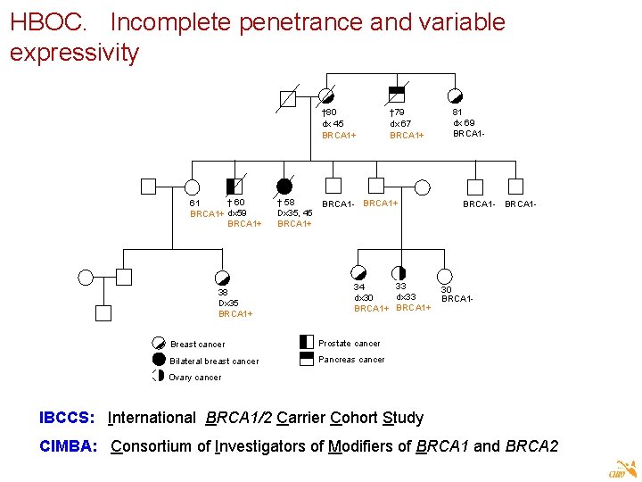 HBOC. Incomplete penetrance and variable expressivity † 80 dx 45 BRCA 1+ † 60
