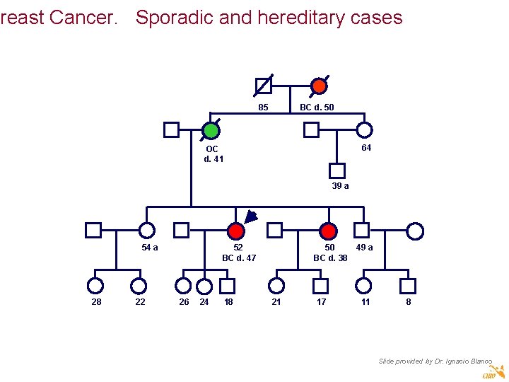 Breast Cancer. Sporadic and hereditary cases 85 BC d. 50 64 OC d. 41