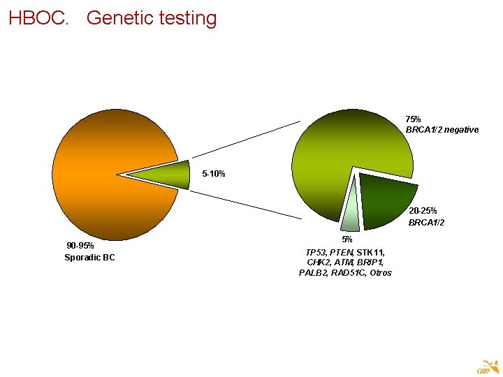 HBOC. Genetic testing 75% BRCA 1/2 negative 5 -10% 20 -25% BRCA 1/2 90