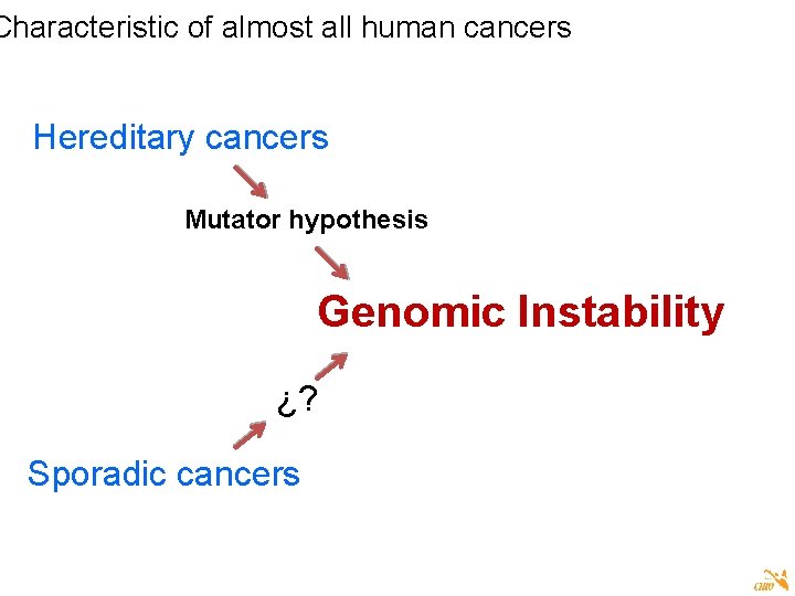 Characteristic of almost all human cancers Hereditary cancers Mutator hypothesis Genomic Instability ¿? Sporadic