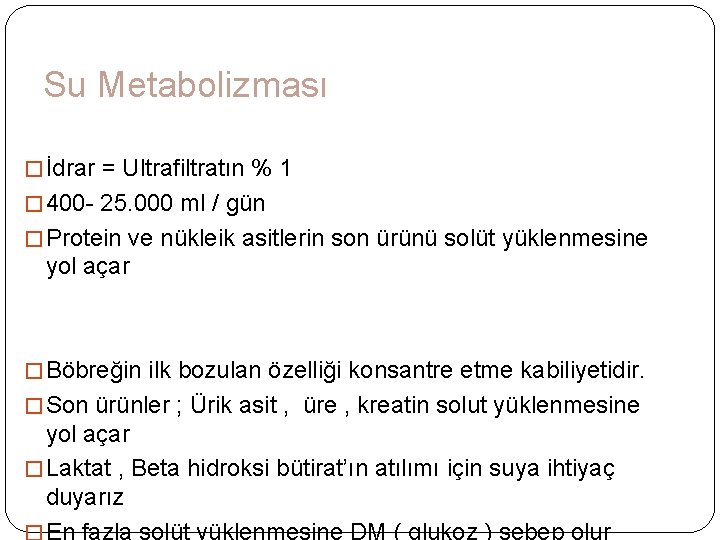 Su Metabolizması � İdrar = Ultrafiltratın % 1 � 400 - 25. 000 ml