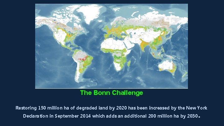 The Bonn Challenge Restoring 150 million ha of degraded land by 2020 has been