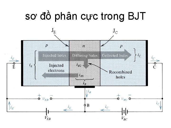 sơ đồ phân cực trong BJT JE JC 