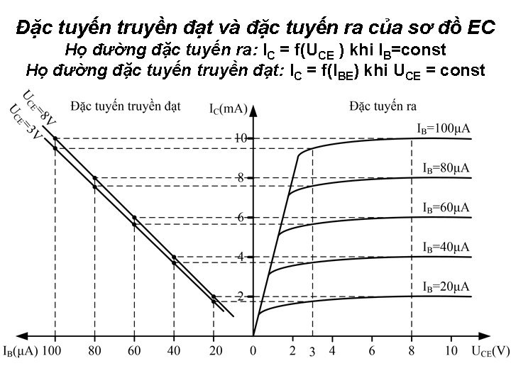 Đặc tuyến truyền đạt và đặc tuyến ra của sơ đồ EC Họ đường