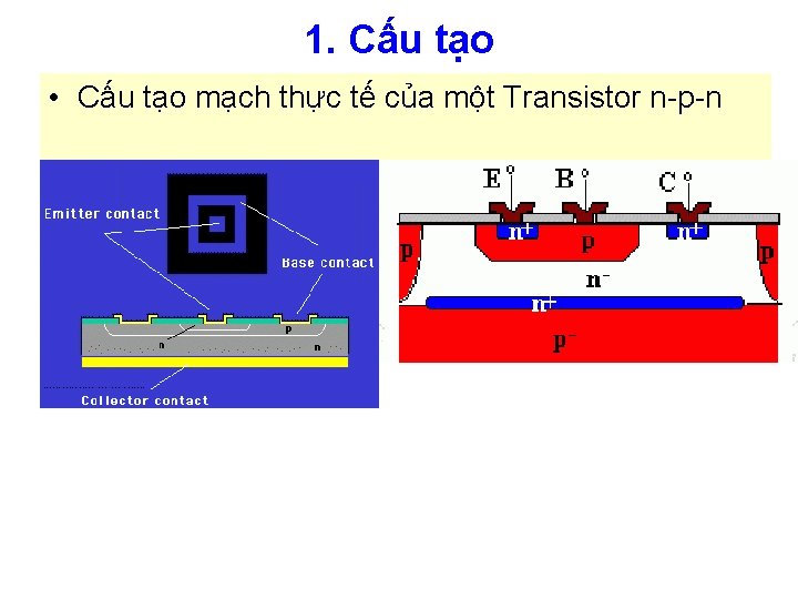 1. Cấu tạo • Cấu tạo mạch thực tế của một Transistor n-p-n 