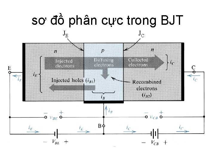 sơ đồ phân cực trong BJT JE JC 