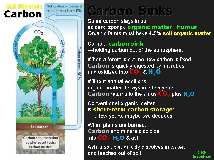 Soil Minerals Carbon Sinks Some carbon stays in soil as dark, spongy organic matter—humus.