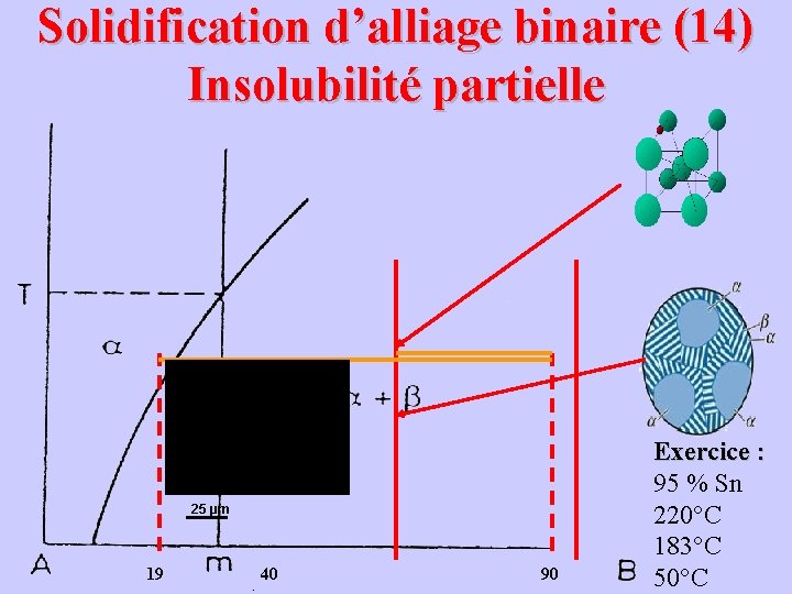 Solidification d’alliage binaire (14) Insolubilité partielle 25 µm 19 40 90 Exercice : 95