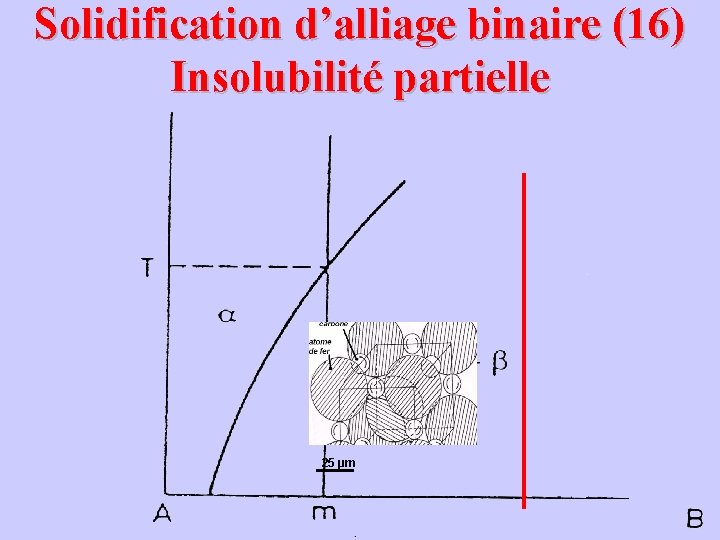Solidification d’alliage binaire (16) Insolubilité partielle 25 µm 