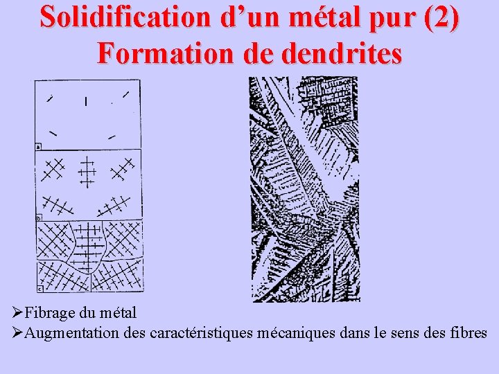 Solidification d’un métal pur (2) Formation de dendrites ØFibrage du métal ØAugmentation des caractéristiques