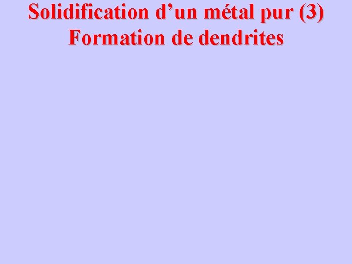 Solidification d’un métal pur (3) Formation de dendrites 