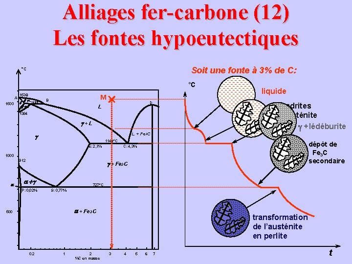 Alliages fer-carbone (12) Les fontes hypoeutectiques Soit une fonte à 3% de C: °C