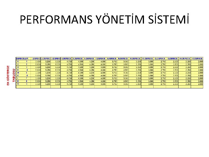 PERFORMANS YÖNETİM SİSTEMİ 