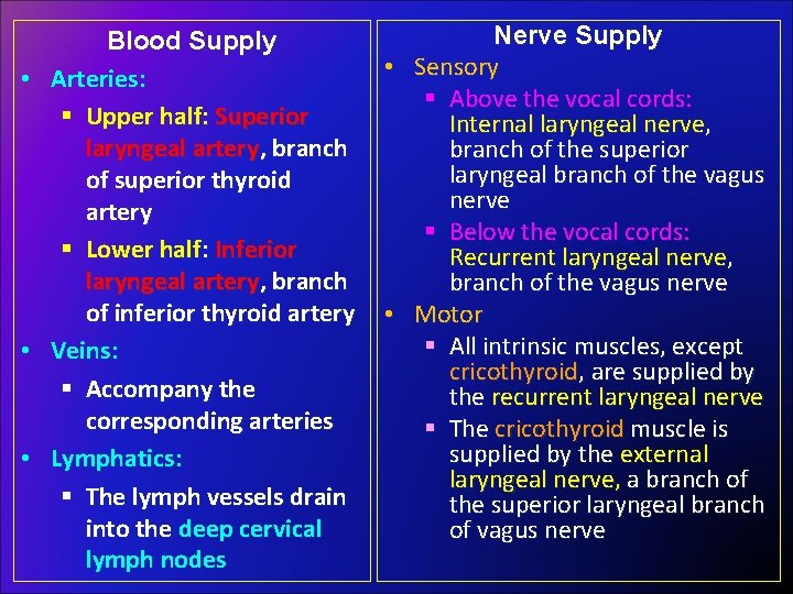 Blood Supply • Arteries: § Upper half: Superior laryngeal artery, branch of superior thyroid