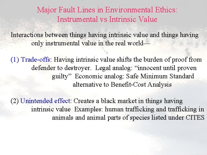 Major Fault Lines in Environmental Ethics: Instrumental vs Intrinsic Value Interactions between things having