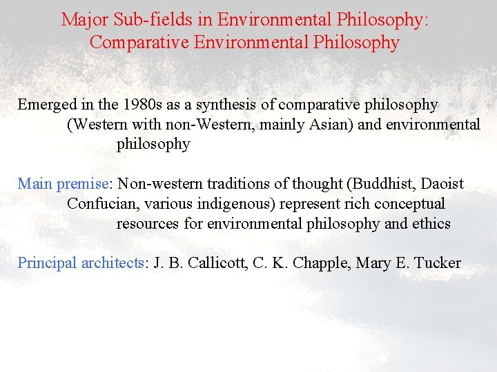 Major Sub-fields in Environmental Philosophy: Comparative Environmental Philosophy Emerged in the 1980 s as