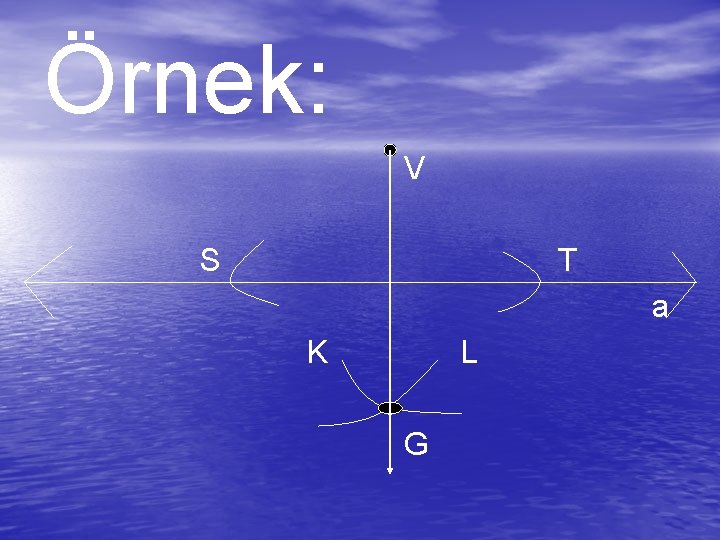 Örnek: V S T a K L G 
