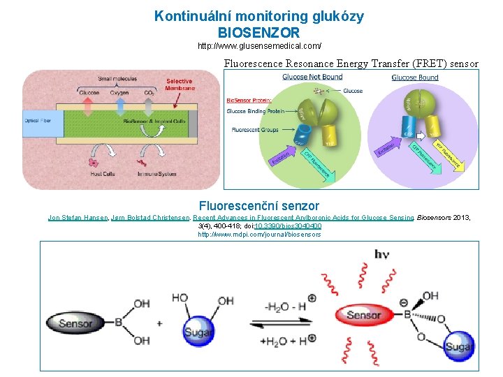 Kontinuální monitoring glukózy BIOSENZOR http: //www. glusensemedical. com/ Fluorescence Resonance Energy Transfer (FRET) sensor