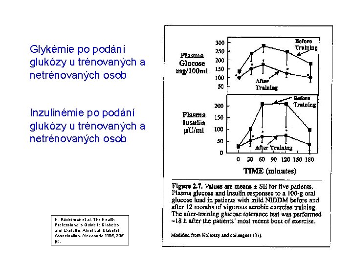 Glykémie po podání glukózy u trénovaných a netrénovaných osob Inzulinémie po podání glukózy u