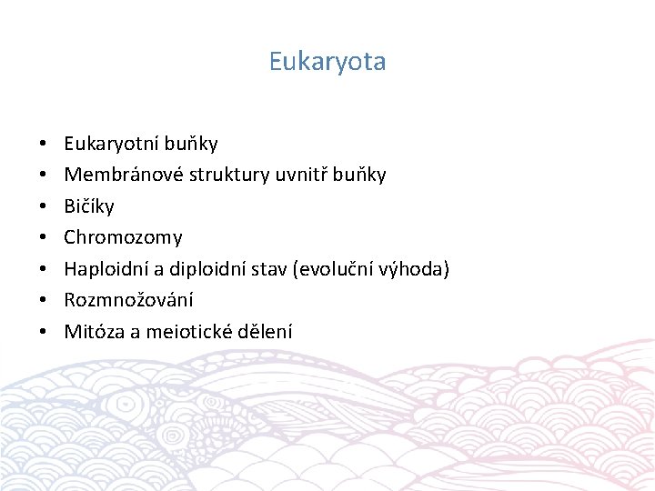 Eukaryota • • Eukaryotní buňky Membránové struktury uvnitř buňky Bičíky Chromozomy Haploidní a diploidní