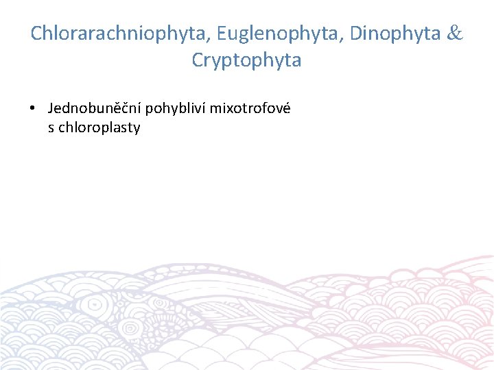 Chlorarachniophyta, Euglenophyta, Dinophyta Cryptophyta • Jednobuněční pohybliví mixotrofové s chloroplasty 