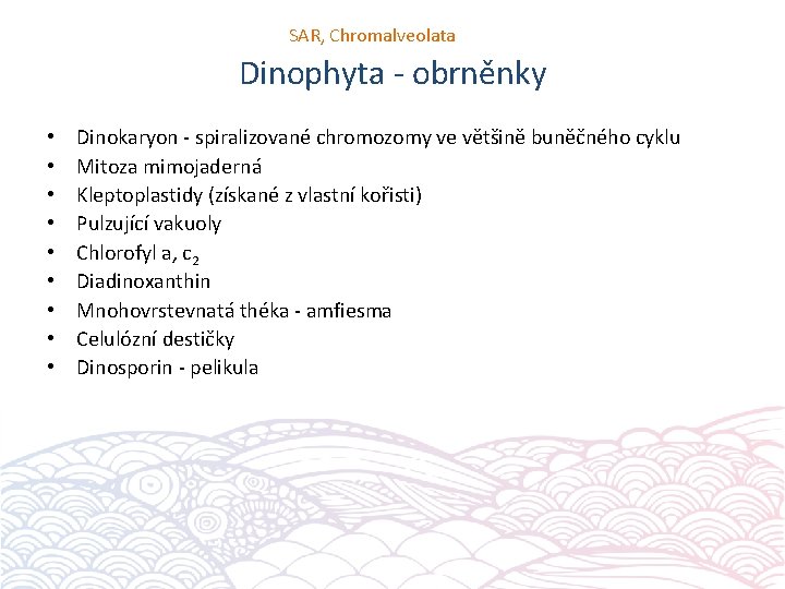 SAR, Chromalveolata Dinophyta - obrněnky • • • Dinokaryon - spiralizované chromozomy ve většině