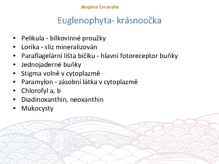 skupina Excavata Euglenophyta- krásnoočka • • • Pelikula - bílkovinné proužky Lorika - sliz