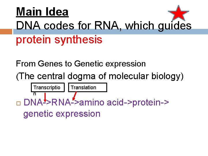 Main Idea DNA codes for RNA, which guides protein synthesis From Genes to Genetic