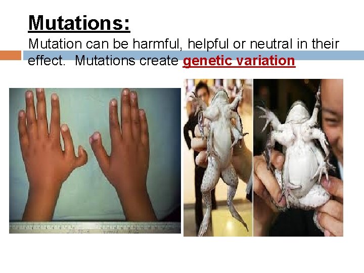 Mutations: Mutation can be harmful, helpful or neutral in their effect. Mutations create genetic