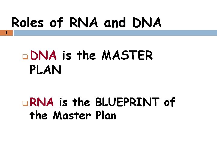 Roles of RNA and DNA 4 q q DNA is the MASTER PLAN RNA