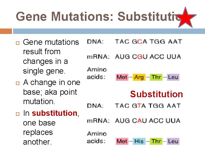 Gene Mutations: Substitution Gene mutations result from changes in a single gene. A change