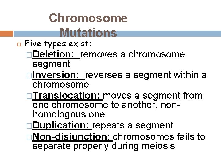 Chromosome Mutations Five types exist: �Deletion: removes a chromosome segment �Inversion: reverses a segment