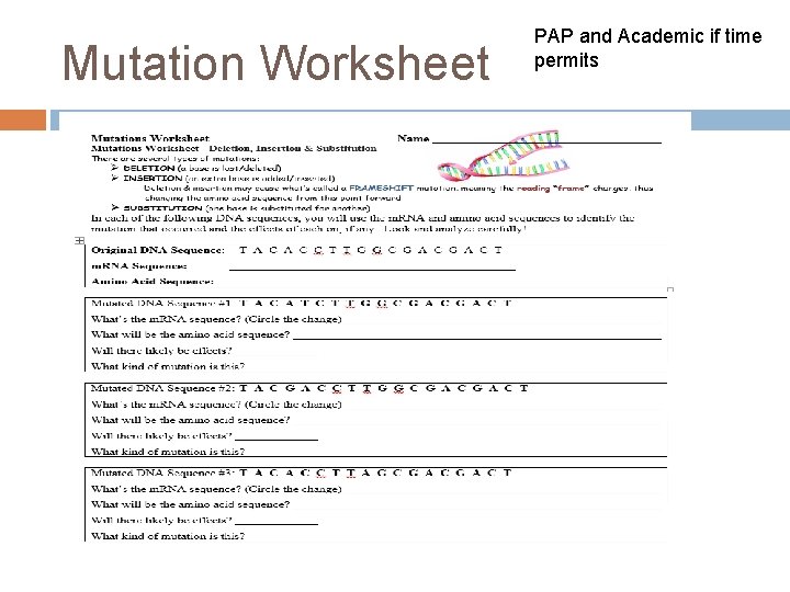 Mutation Worksheet PAP and Academic if time permits 