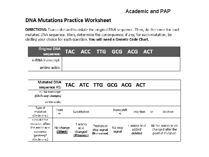 Academic and PAP 